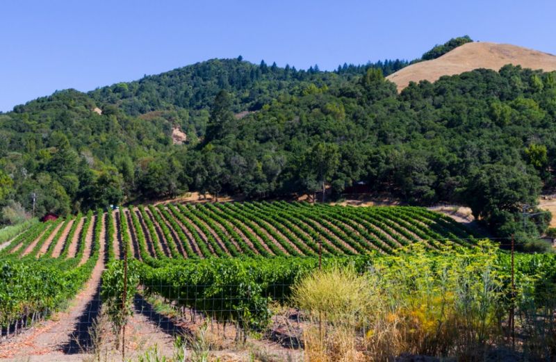 Best Bathroom Remodeling pros in Petaluma, CA